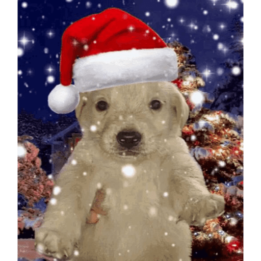 Navidad 🎄🎅🎅 24