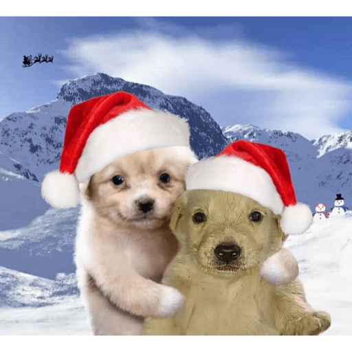 Navidad 🎄🎅🎅 9
