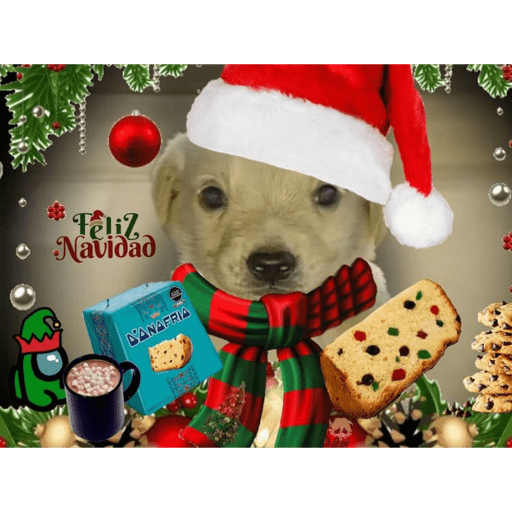 Navidad 🎄🎅🎅 7