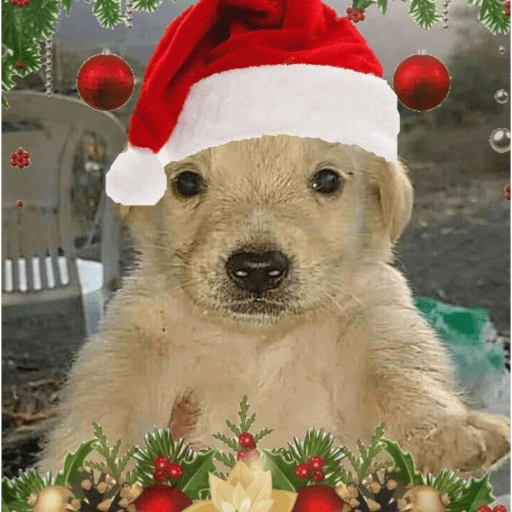 Navidad 🎄🎅🎅 3