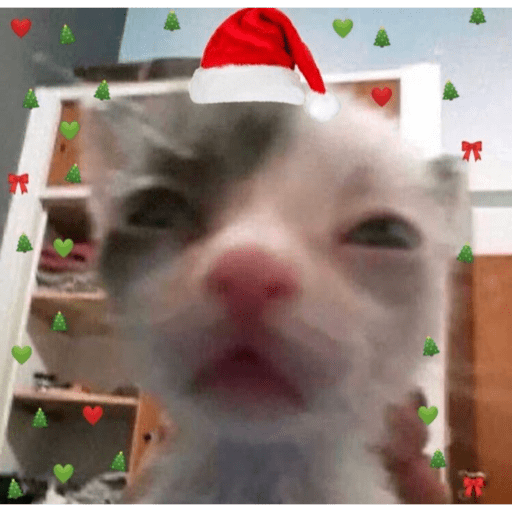 Navidad 🎄🎅🎅 12