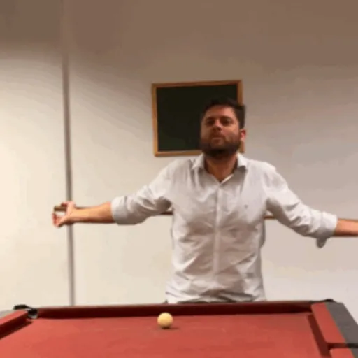 Animadas 22
