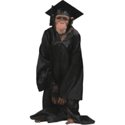 Macaco 9