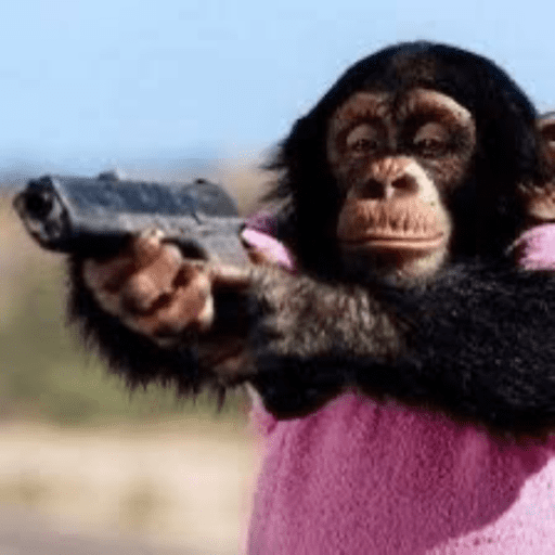 Macaco 8