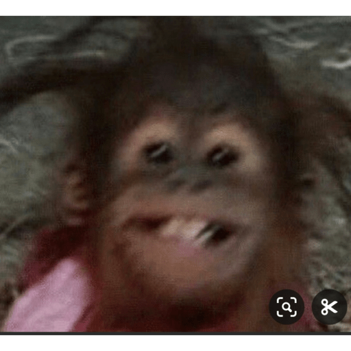 Macaco 2