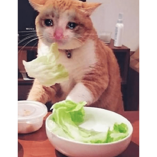Tô triste 3