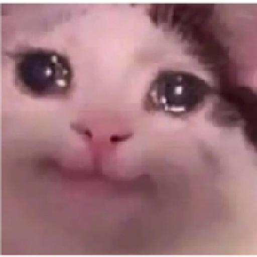 Tô triste 29