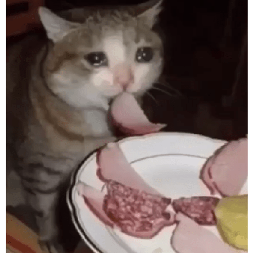 Tô triste 14