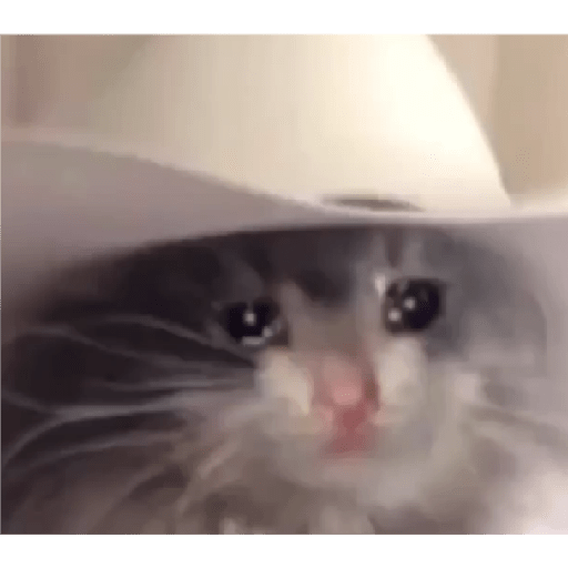 Tô triste 16