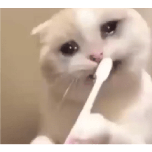 Tô triste 21