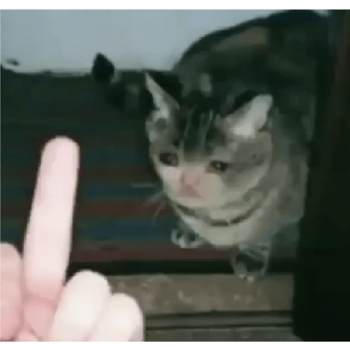 Tô triste 12