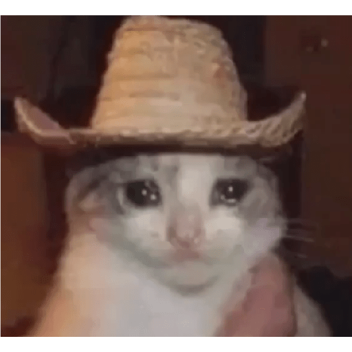 Tô triste 17