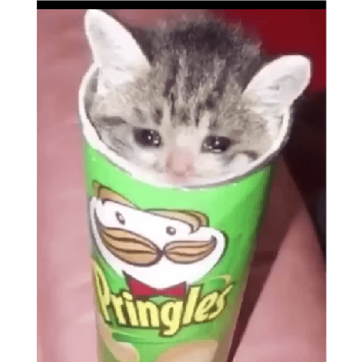 Tô triste 11