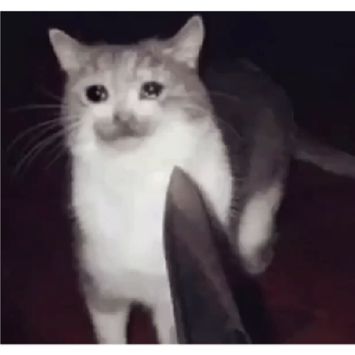 Tô triste 13