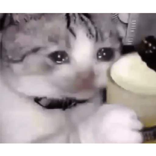 Tô triste 19