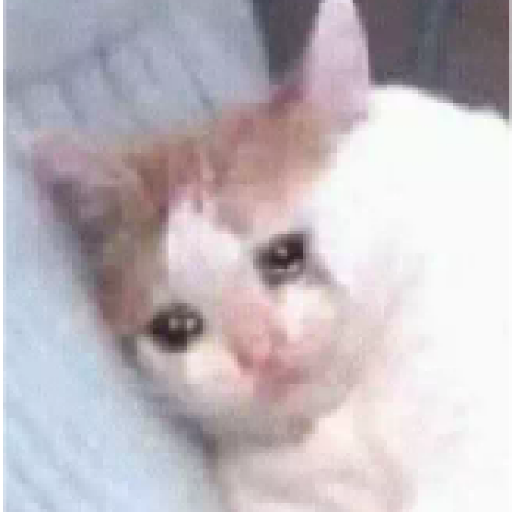 Tô triste 27
