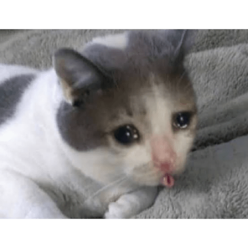 Tô triste 1