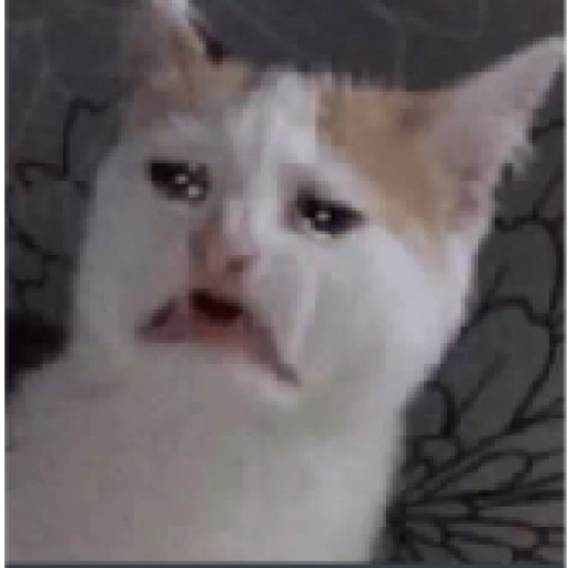 Tô triste 26