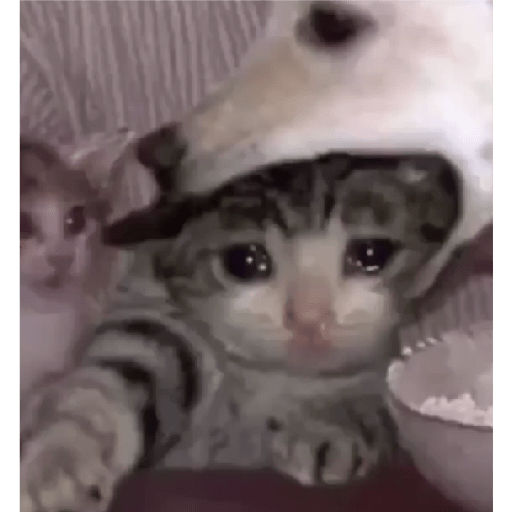 Tô triste 18
