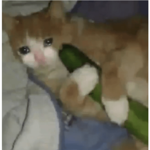 Tô triste 20