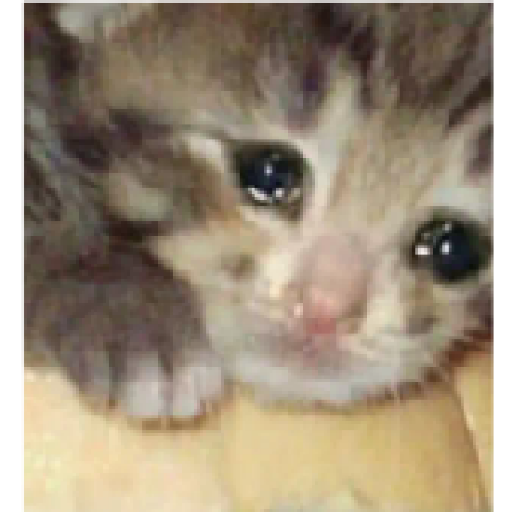 Tô triste 25