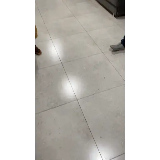 Videos  3