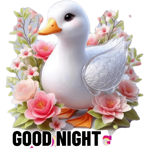 Good night