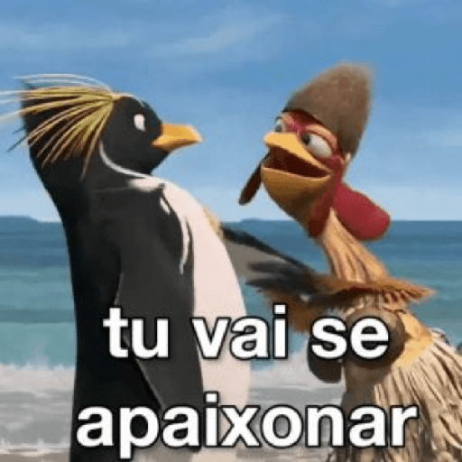 CALMA 15