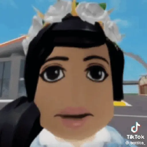 Memes Roblox 11