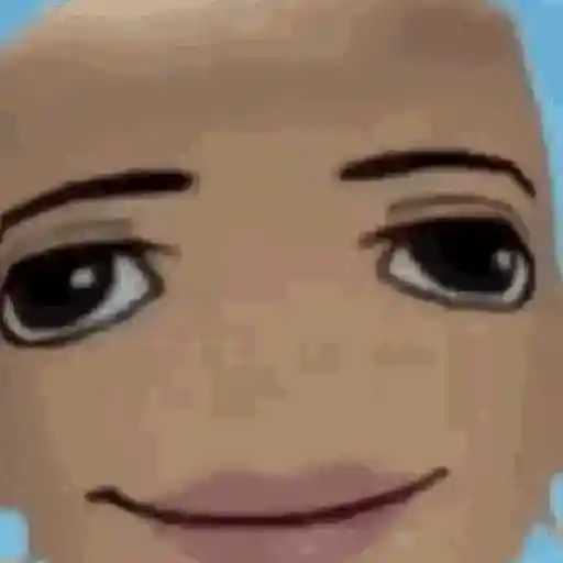 Memes Roblox 23