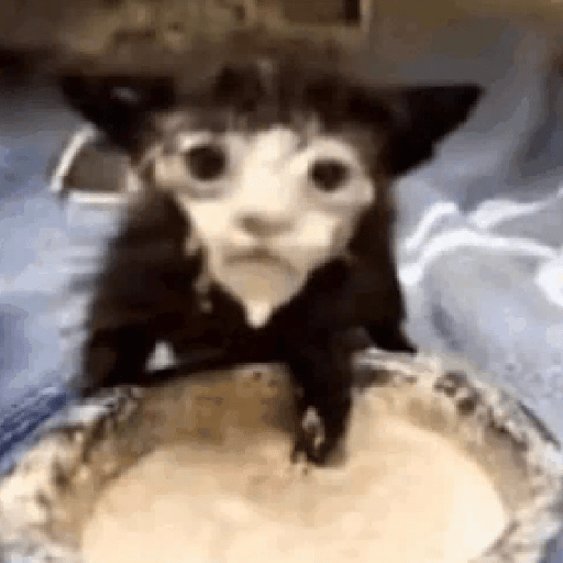 Figurinhas Tiktok 5