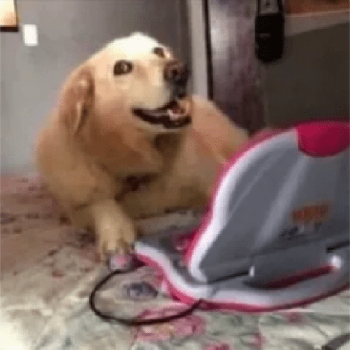 Figurinhas Tiktok 8