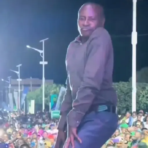 Dancinha viral 6