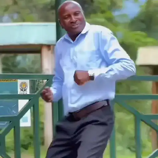 Dancinha viral 12