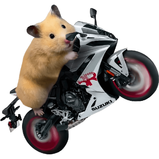 Wheelie
