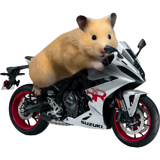 Motor gezisi