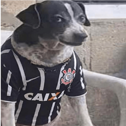 Cachorrinhos Corintianos