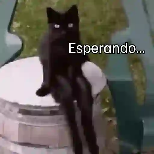 ESPERANDO... 2