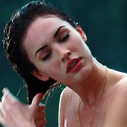 Megan Fox compiled 3