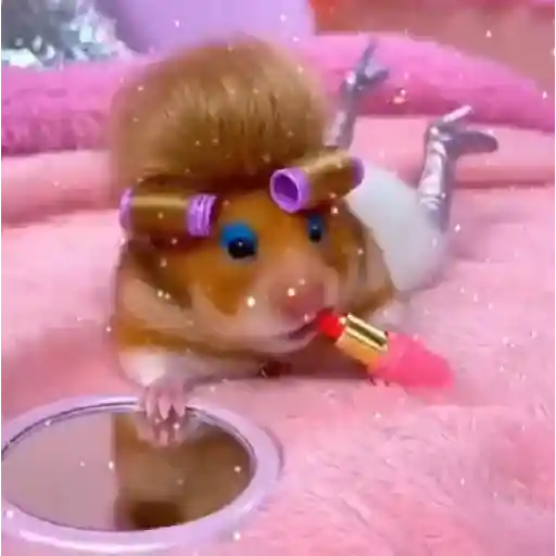 Hamster makeup ✨️ 12