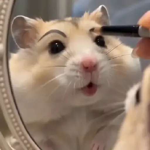 Hamster makeup ✨️ 10
