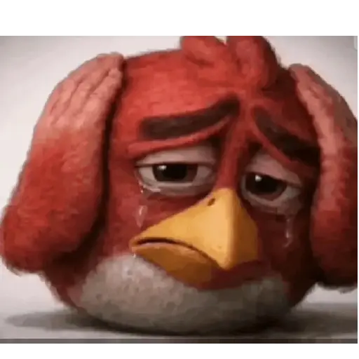 Memes Angry Birds 16
