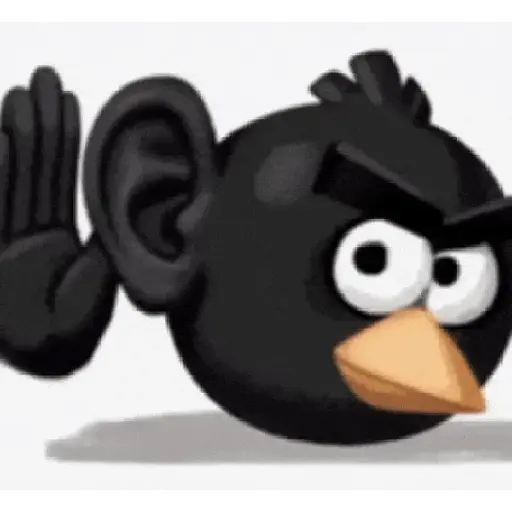 Memes Angry Birds 9