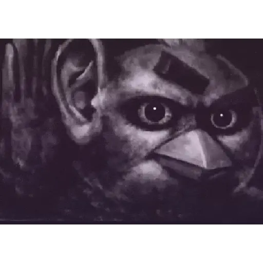 Memes Angry Birds 5