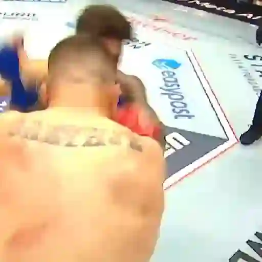 UFC MMA