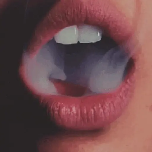 BOCA 🫦 6