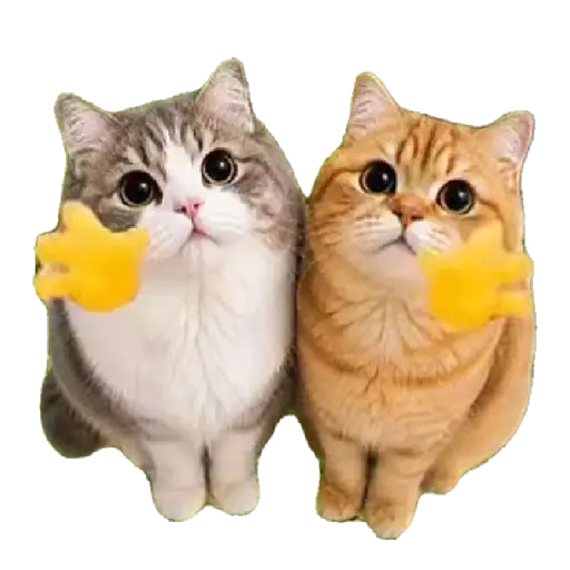 Gatinhos oi tchau 3