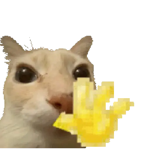 Gatinhos oi tchau 1