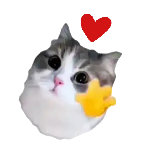 Gatinhos oi tchau 6
