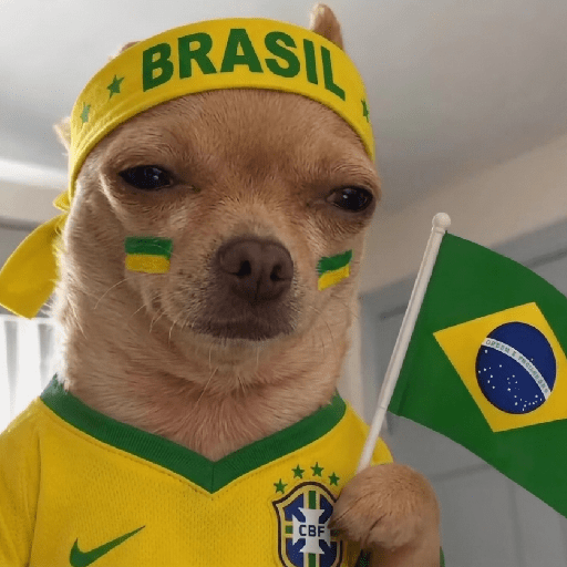 VAI BRASIL 🇧🇷💚💛 8